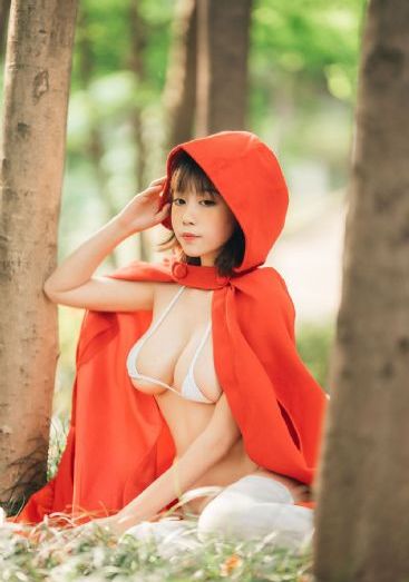 布衣天子