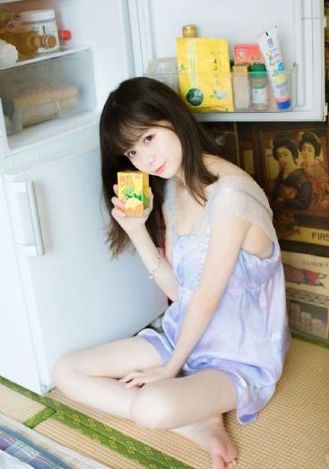 上阵父子兵电视剧