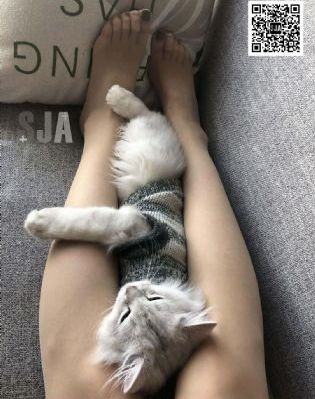 警中警第二部