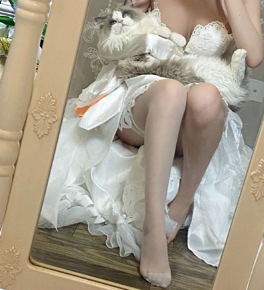 茶杯狐在线免费观看电视剧