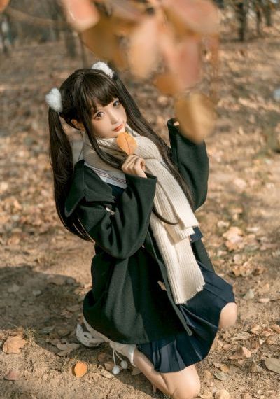 野花视频在线观看免费高清版