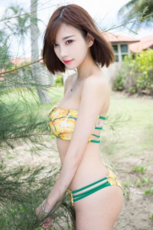 最后的进化
