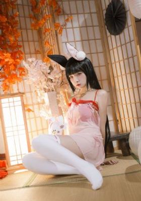 鸭之一族