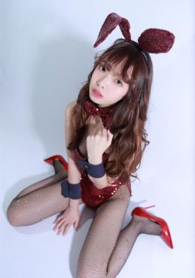 加菲猫的幸福生活免费观看完整版