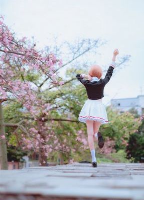 芈月传电视剧全集